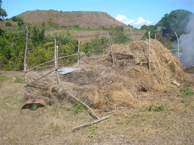 compostaggio.JPG (93826 byte)